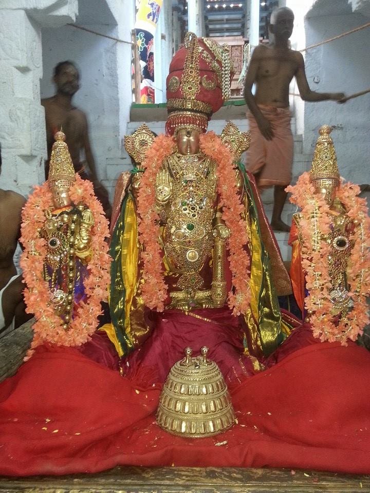 Sri veeraraghava perumal brahmostavam day 7_2