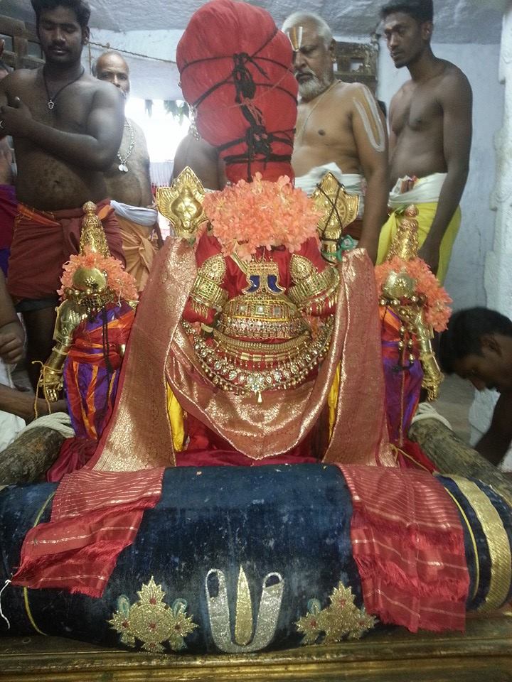 Sri veeraraghava perumal brahmostavam day 7_3