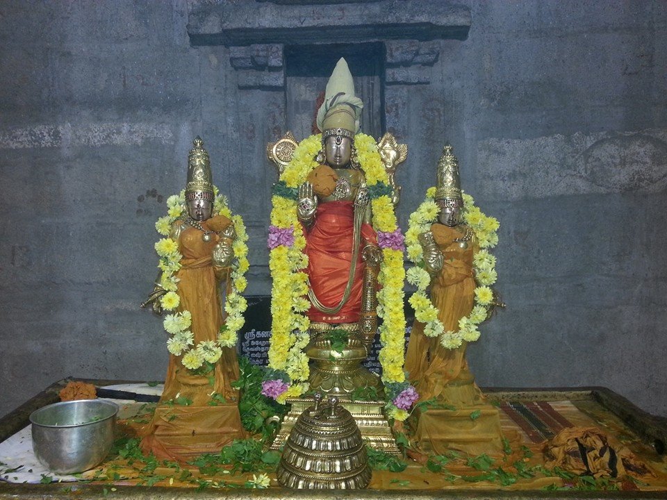 Sri veeraraghava perumal brahmostavam day 7_5
