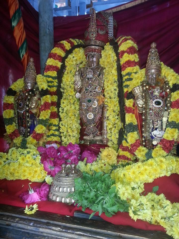 Sri veeraraghava perumal brahmostavam day 7_8