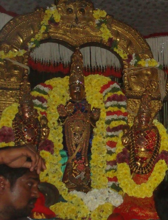 Sriperumbudur Sri Adikesava Perumal Temple Irappathu Utsavam9