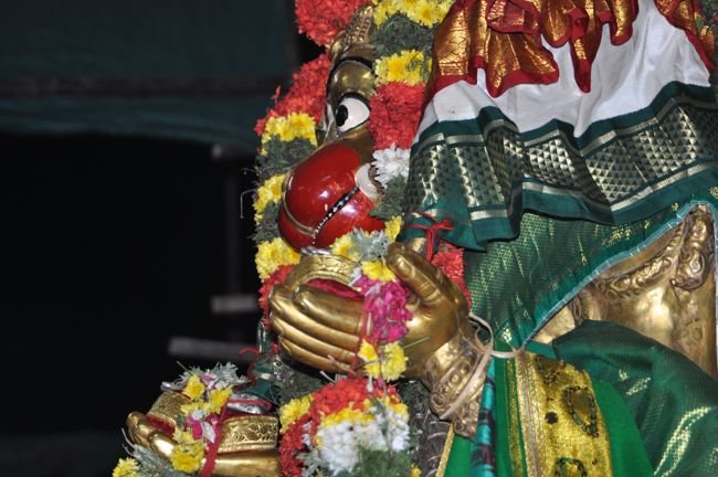 Srirangam Boopathi Thirunal Sri Namperumal Hanumantha Vahanam Purappadu 2015-11