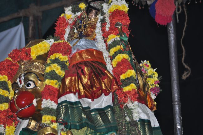 Srirangam Boopathi Thirunal Sri Namperumal Hanumantha Vahanam Purappadu 2015-13