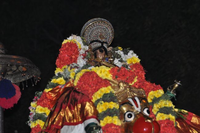 Srirangam Boopathi Thirunal Sri Namperumal Hanumantha Vahanam Purappadu 2015-24