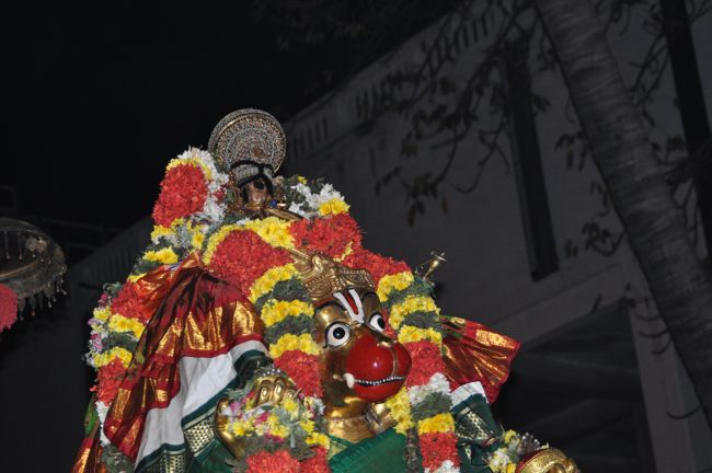 Srirangam Boopathi Thirunal Sri Namperumal Hanumantha Vahanam Purappadu 2015-28