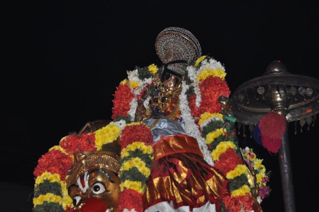 Srirangam Boopathi Thirunal Sri Namperumal Hanumantha Vahanam Purappadu 2015-33