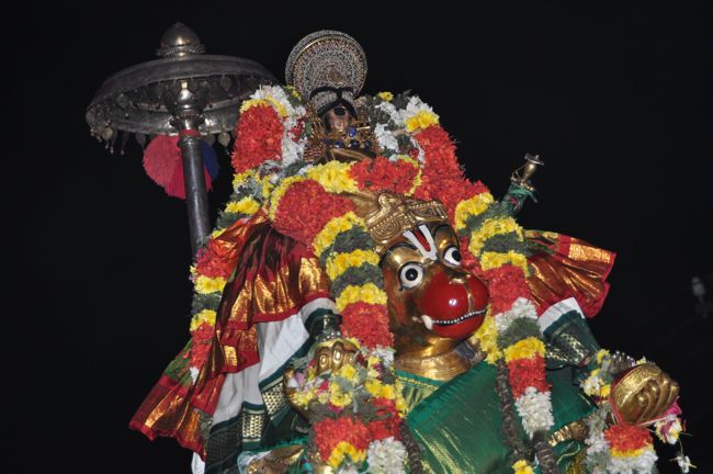 Srirangam Boopathi Thirunal Sri Namperumal Hanumantha Vahanam Purappadu 2015-45