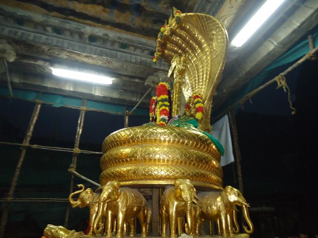 Srirangam Boopathi Thirunal Sri Namperumal Sesha vahana Purappadu2015-02