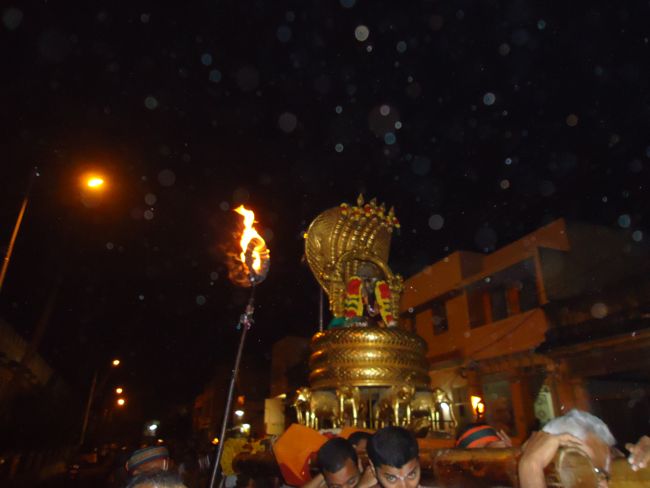 Srirangam Boopathi Thirunal Sri Namperumal Sesha vahana Purappadu2015-03