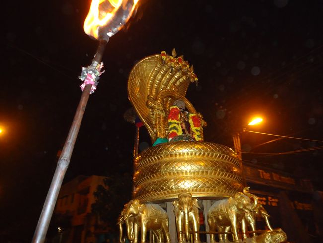 Srirangam Boopathi Thirunal Sri Namperumal Sesha vahana Purappadu2015-04