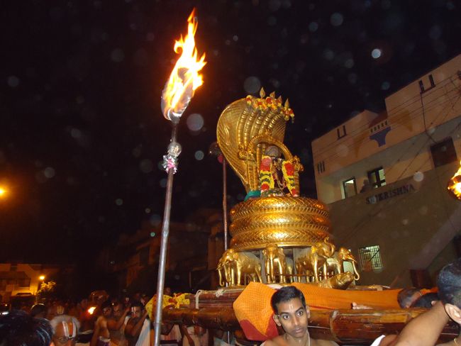 Srirangam Boopathi Thirunal Sri Namperumal Sesha vahana Purappadu2015-17