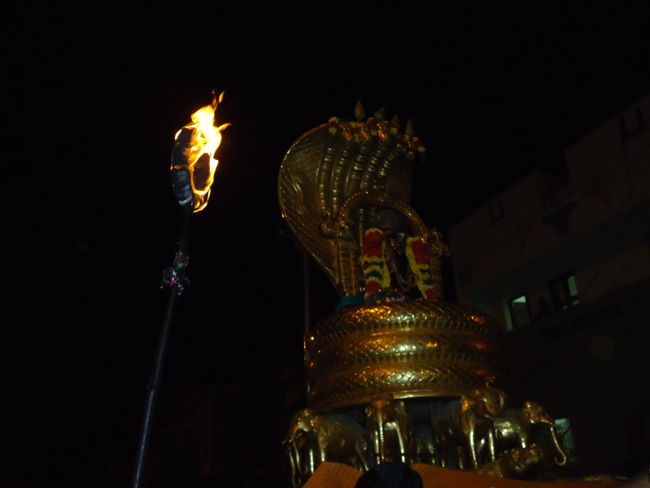 Srirangam Boopathi Thirunal Sri Namperumal Sesha vahana Purappadu2015-19