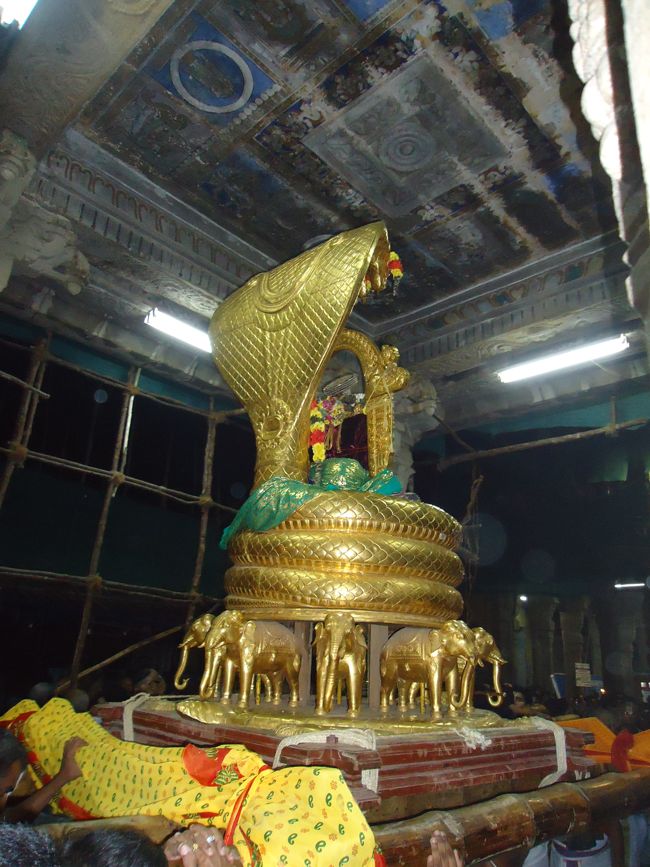Srirangam Boopathi Thirunal Sri Namperumal Sesha vahana Purappadu2015-23
