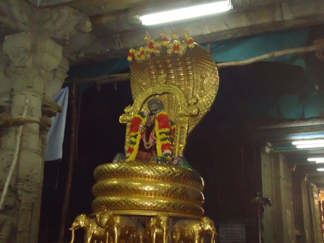 Srirangam Boopathi Thirunal Sri Namperumal Sesha vahana Purappadu2015-27