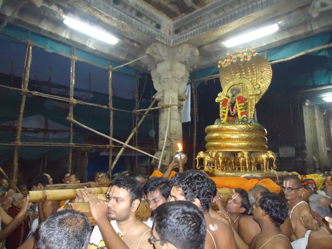 Srirangam Boopathi Thirunal Sri Namperumal Sesha vahana Purappadu2015-28