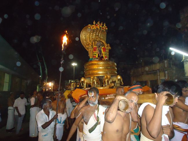 Srirangam Boopathi Thirunal Sri Namperumal Sesha vahana Purappadu2015-29