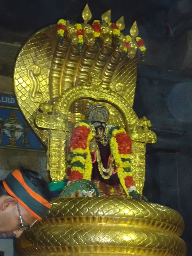 Srirangam Boopathi Thirunal Sri Namperumal Sesha vahana Purappadu2015-32