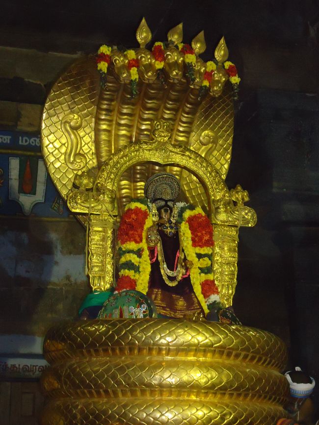 Srirangam Boopathi Thirunal Sri Namperumal Sesha vahana Purappadu2015-33