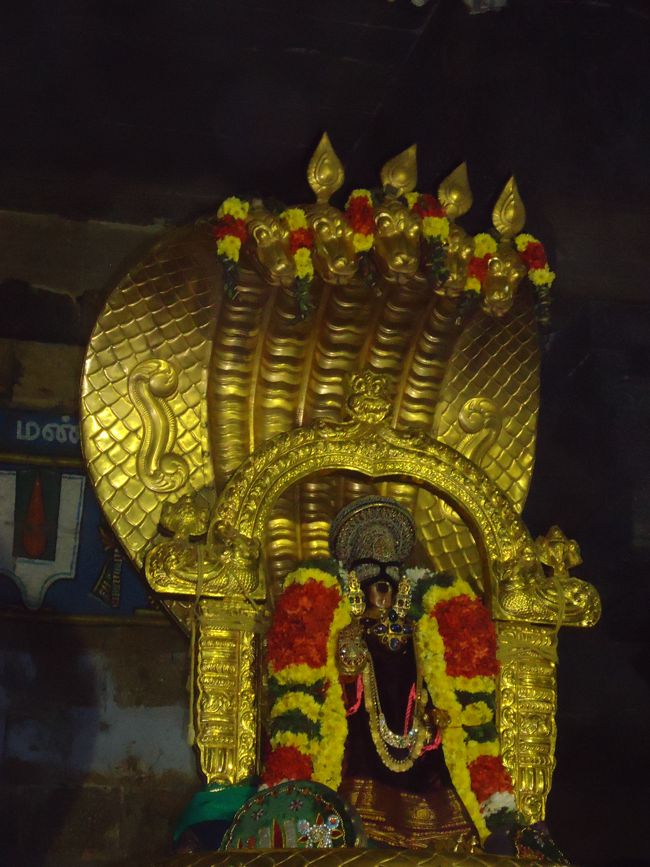 Srirangam Boopathi Thirunal Sri Namperumal Sesha vahana Purappadu2015-34