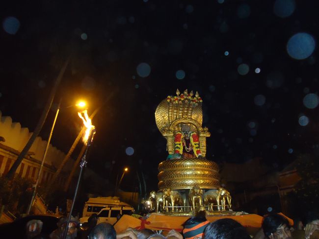 Srirangam Boopathi Thirunal Sri Namperumal Sesha vahana Purappadu2015-36