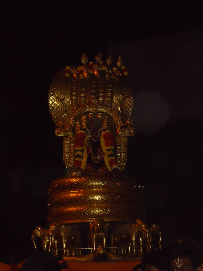 Srirangam Boopathi Thirunal Sri Namperumal Sesha vahana Purappadu2015-38