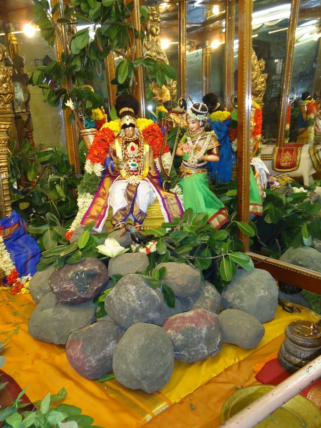 Srirangam Kannadi Arai Andal Sannadhi Margazhi Utsavam Day 21 2014-04