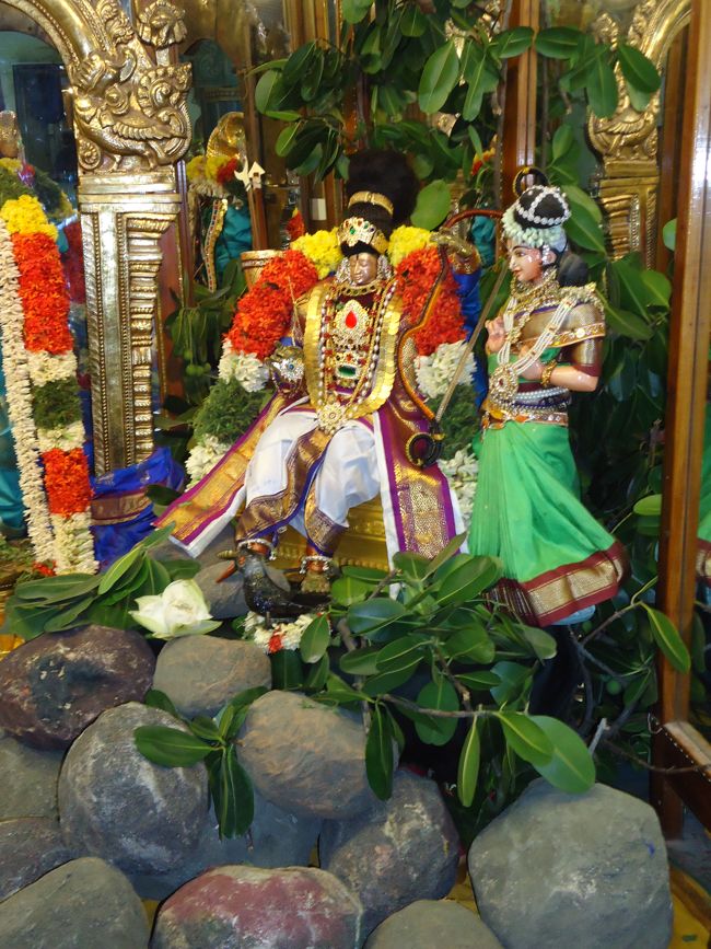 Srirangam Kannadi Arai Andal Sannadhi Margazhi Utsavam Day 21 2014-10