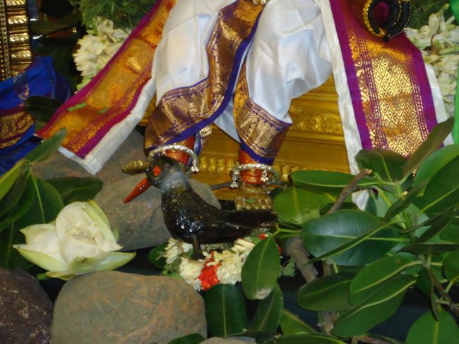 Srirangam Kannadi Arai Andal Sannadhi Margazhi Utsavam Day 21 2014-12
