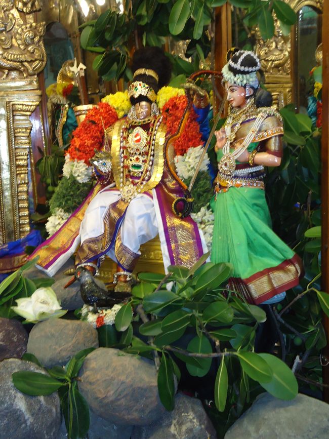 Srirangam Kannadi Arai Andal Sannadhi Margazhi Utsavam Day 21 2014-13