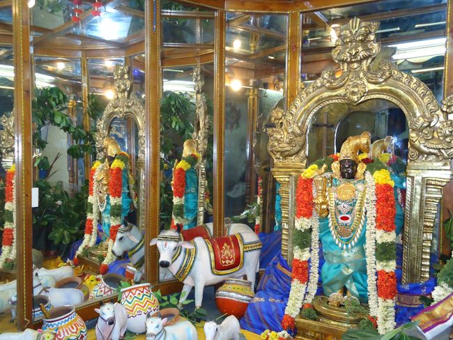 Srirangam Kannadi Arai Andal Sannadhi Margazhi Utsavam Day 21 2014-15