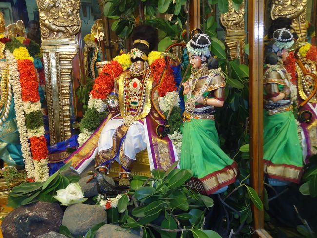 Srirangam Kannadi Arai Andal Sannadhi Margazhi Utsavam Day 21 2014-16