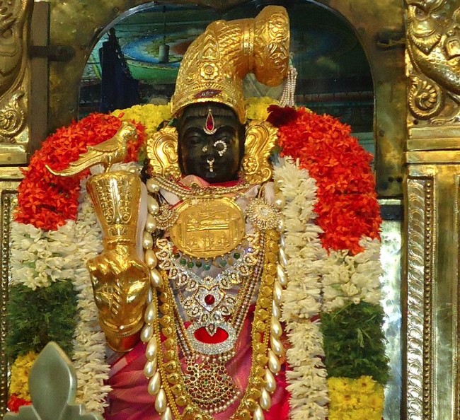 Srirangam Kannadi Arai Andal Sannadhi Margazhi day 19  2014-02