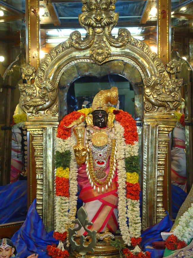Srirangam Kannadi Arai Andal Sannadhi Margazhi day 19  2014-07