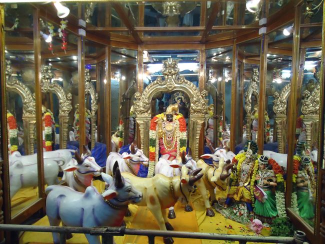 Srirangam Kannadi Arai Andal Sannadhi maragazhi Day 20 2014-01
