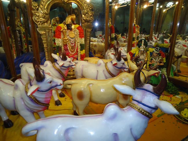 Srirangam Kannadi Arai Andal Sannadhi maragazhi Day 20 2014-09