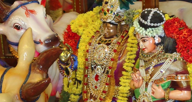 Srirangam Kannadi Arai Andal Sannadhi maragazhi utsav Day 20 2014-4