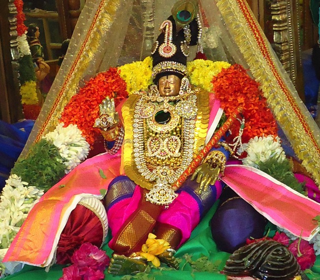 Srirangam  Kannadi Arai Sri Andal Sannadhi day 22-2014-02