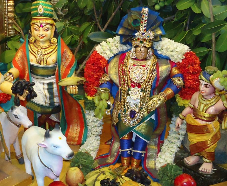 Srirangam Kannadi Arai andal Sannadhi day  27