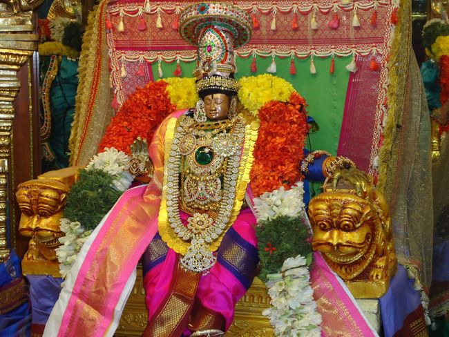 Srirangam Kannadi arai Andal Sannadhi Margazhii utsavam day 23-2014-01