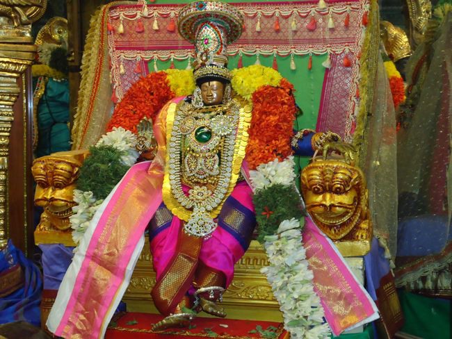 Srirangam Kannadi arai Andal Sannadhi Margazhii utsavam day 23-2014-02