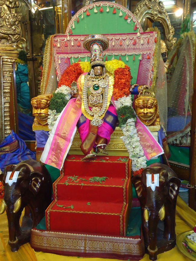 Srirangam Kannadi arai Andal Sannadhi Margazhii utsavam day 23-2014-06