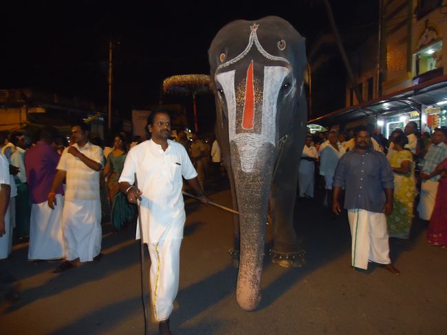 Srirangam Namperumal Boopathi Thirunal Garuda Sevai Purappadu  2015-12