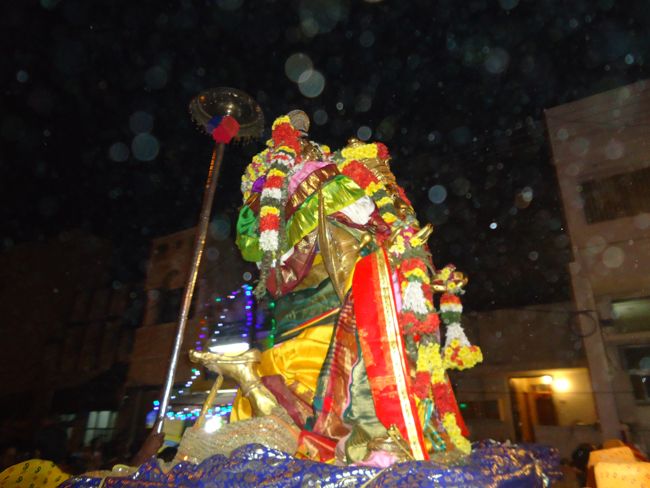 Srirangam Namperumal Boopathi Thirunal Garuda Sevai Purappadu  2015-17