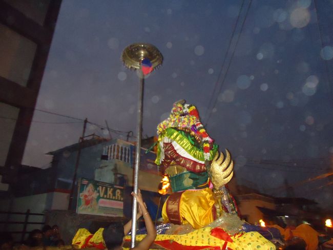 Srirangam Namperumal Boopathi Thirunal Garuda Sevai Purappadu  2015-35
