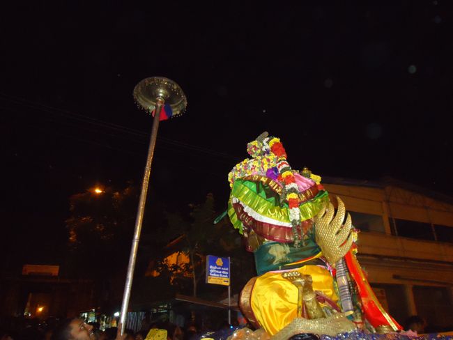Srirangam Namperumal Boopathi Thirunal Garuda Sevai Purappadu  2015-41