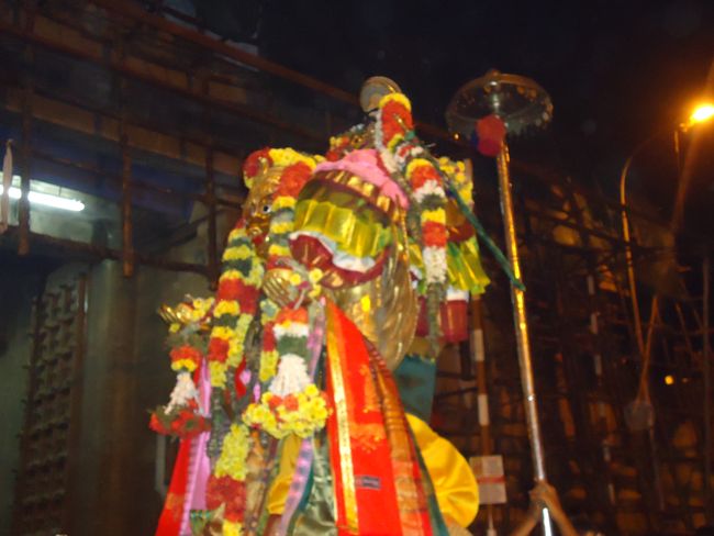 Srirangam Namperumal Boopathi Thirunal Garuda Sevai Purappadu  2015-47