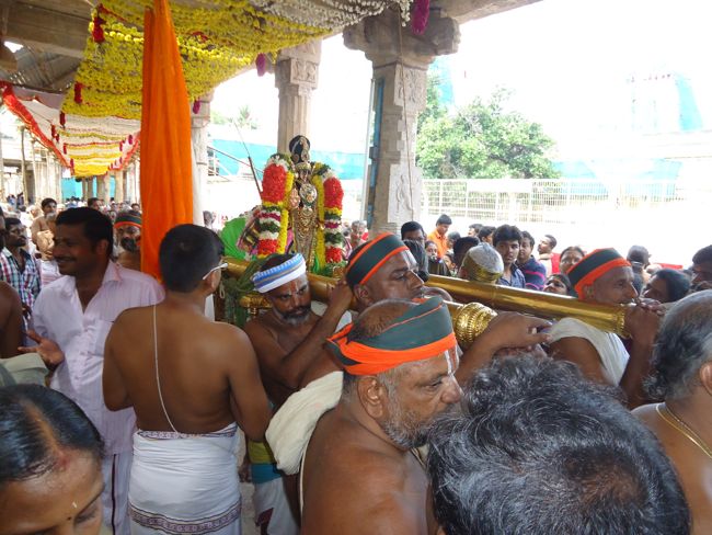 Srirangam Namperumal Irrapathu Utsavam day 3  2014-02