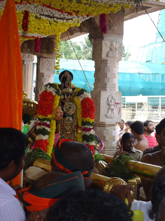 Srirangam Namperumal Irrapathu Utsavam day 3  2014-09