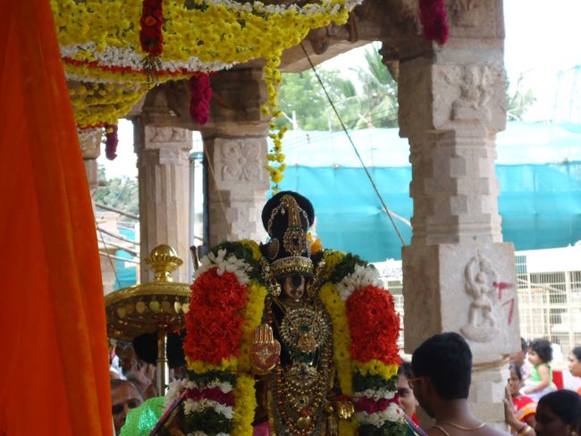 Srirangam Namperumal Irrapathu Utsavam day 3  2014-11