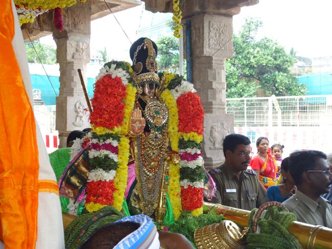 Srirangam Namperumal Irrapathu Utsavam day 3  2014-15